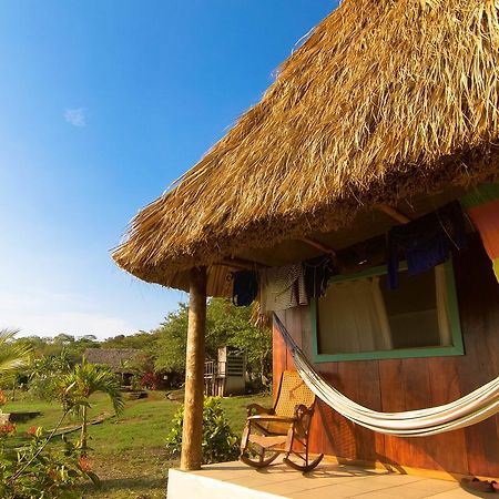 Coco Loco Eco-Resort Gemastepe Extérieur photo